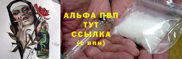 прущие грибы Наволоки