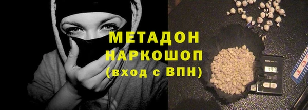 прущие грибы Наволоки