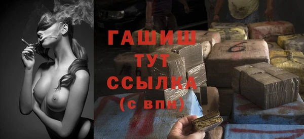 прущие грибы Наволоки