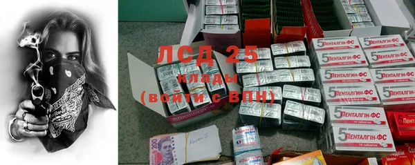 прущие грибы Наволоки