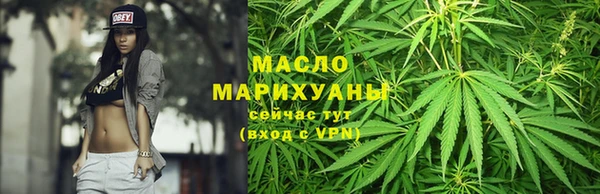 прущие грибы Наволоки