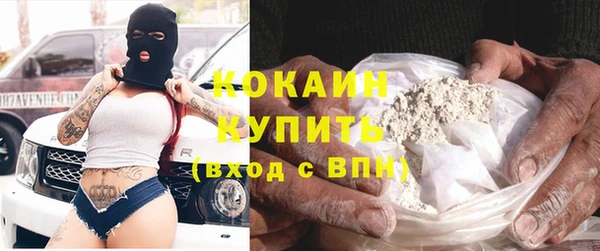 прущие грибы Наволоки