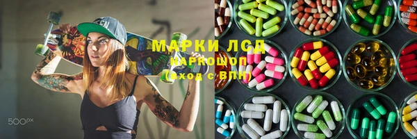 прущие грибы Наволоки